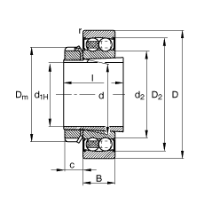 {S 2207-K-2RS-TVH-C3 + H307, (j) DIN 630  DIN 5415 ˜ʵҪߴ, F׺;oɂȴܷ
